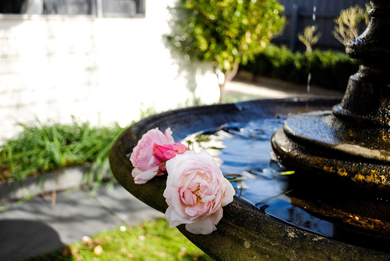 Bed Of Roses Villa Apollo Bay Bagian luar foto